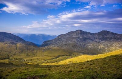 橘子香蕉皮扔盆里，叶子肥又亮，眨眼开爆盆！ ， 果皮养花：环保又实用的家庭园艺缩略图