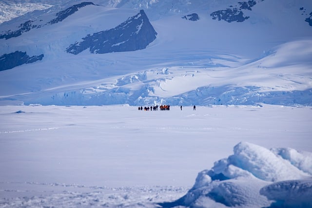 美人蕉的繁殖方法 , 美人蕉的繁殖方法插图 美人蕉的繁殖方法 , 美人蕉的繁殖方法插图