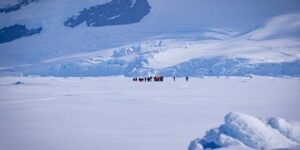 美人蕉的繁殖方法 ， 美人蕉的繁殖方法缩略图