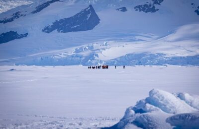 美人蕉的繁殖方法 ， 美人蕉的繁殖方法缩略图