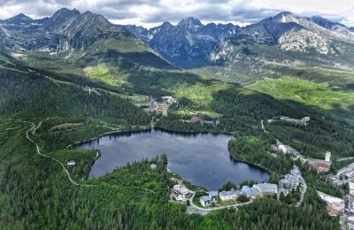 洋地黄中毒如何处理 ， 洋地黄中毒如何处理缩略图