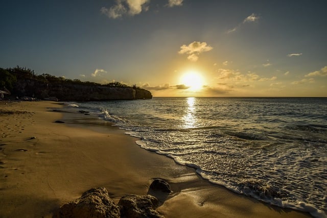 蓝羊茅的繁殖方法 , 蓝羊茅的品种与选择插图 蓝羊茅的繁殖方法 , 蓝羊茅的品种与选择插图