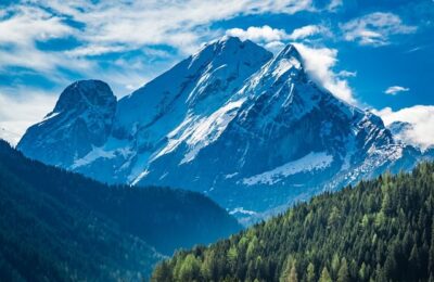 桃美人夏天怎么养 ， 桃美人夏天怎么养缩略图