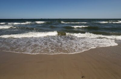 美国石竹养护四点要领 ， 美国石竹：绽放在你花园里的五彩斑斓缩略图