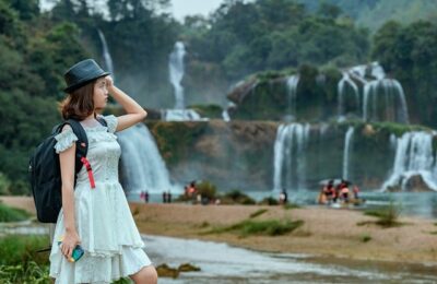 镜面草的水肥管理技巧 ， 镜面草的养护技巧及常见问题缩略图