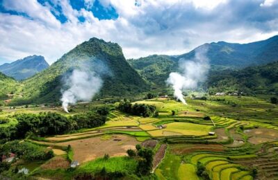 盆栽玉树怎么养护 ， 玉树的栽培与养护详解缩略图