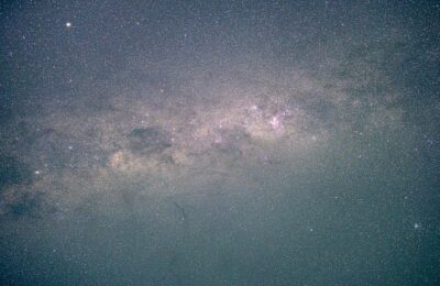 食用玫瑰花品种简介 ， 食用玫瑰花品种简介缩略图