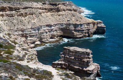 水培龟背竹的养殖方法和注意事项 ， 龟背竹的品种与鉴赏缩略图