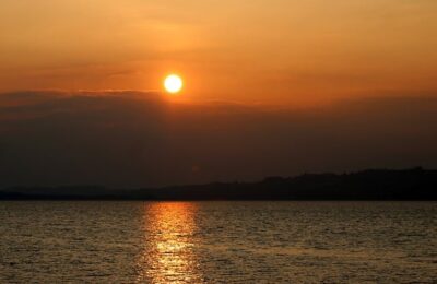 旱金莲怎么施肥 ， 旱金莲的栽培与养护缩略图