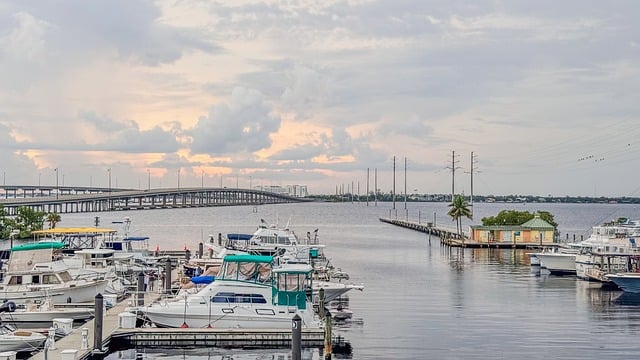 石竹怎么浇水 , 五彩缤纷的石竹世界:品种与养护技巧插图 石竹怎么浇水 , 五彩缤纷的石竹世界:品种与养护技巧插图