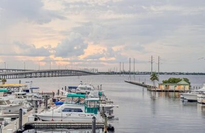 石竹怎么浇水 ， 五彩缤纷的石竹世界：品种与养护技巧缩略图
