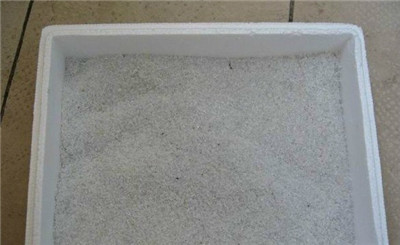 超实用的懒人扦插法,成活率100% , 超实用的懒人扦插法,成活率100%插图 超实用的懒人扦插法,成活率100% , 超实用的懒人扦插法,成活率100%插图