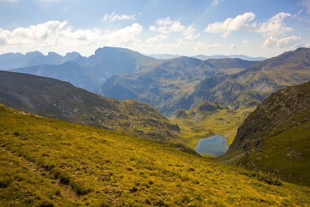 啤酒浇花加片药，绿萝3天蹿上墙，长寿能开4、5次！ ， 啤酒浇花，并非简单粗暴插图