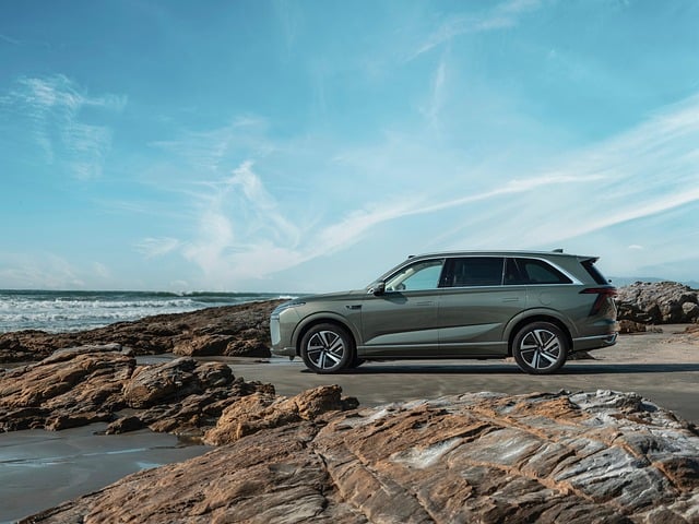 长春蔓的四季养护 ， 长春蔓的四季养护插图