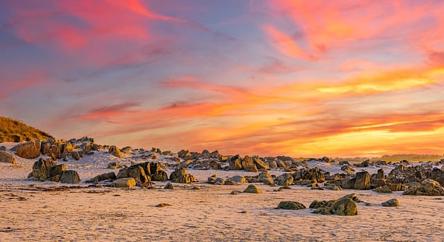 龙血树怎么分叉 ， 龙血树怎么分叉插图