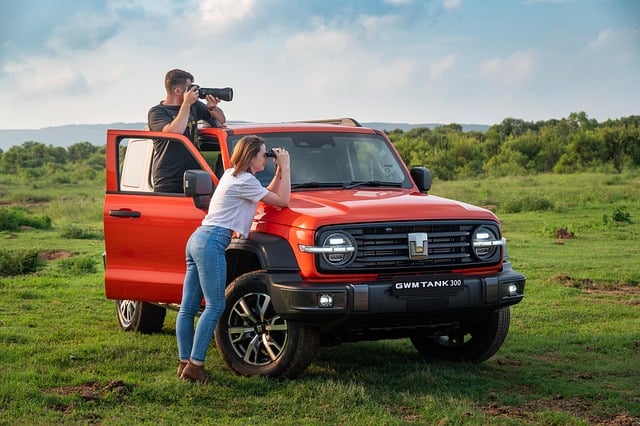 罗汉松怎么繁殖 , 罗汉松的品种与养护技巧插图 罗汉松怎么繁殖 , 罗汉松的品种与养护技巧插图