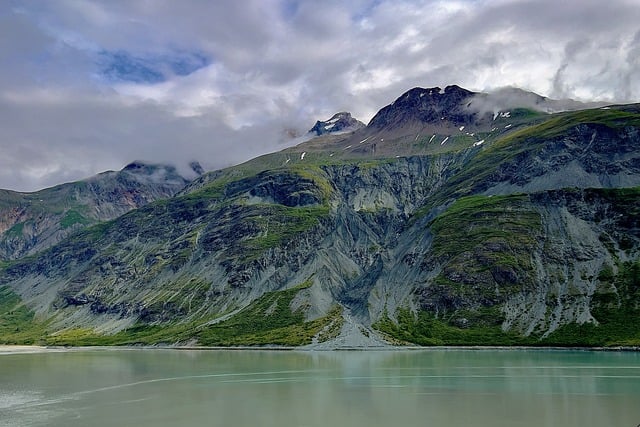 美国薄荷的繁殖方法 , 美国薄荷的繁殖方法插图 美国薄荷的繁殖方法 , 美国薄荷的繁殖方法插图