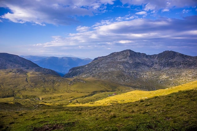 小蓝衣的养殖方法及注意事项 , 小蓝衣的养殖方法及注意事项插图 小蓝衣的养殖方法及注意事项 , 小蓝衣的养殖方法及注意事项插图
