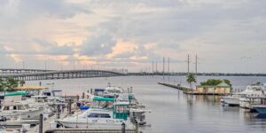 千叶吊兰的四季养护 ， 千叶吊兰的春季养护缩略图