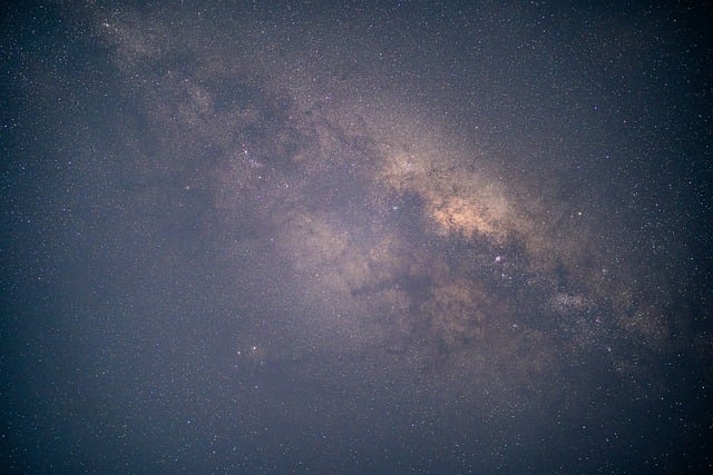 金边瑞香冬季怎么养 ， 金边瑞香的特性与冬季养护要点插图