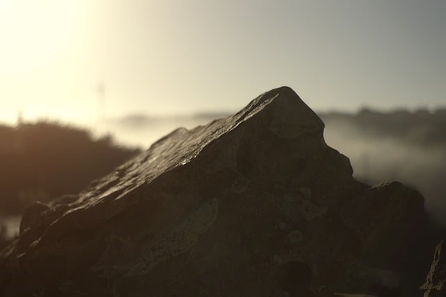 垂盆草如何安全越冬 , 垂盆草如何安全越冬插图 垂盆草如何安全越冬 , 垂盆草如何安全越冬插图