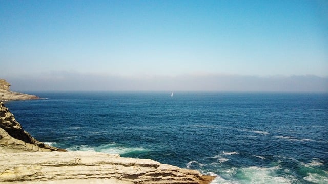 虎头茉莉怎么施肥 ,# 1、肥料选择插图 虎头茉莉怎么施肥 ,# 1、肥料选择插图