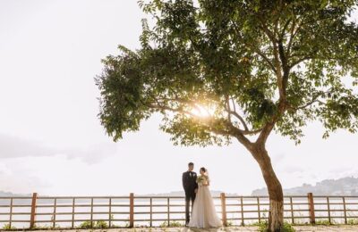 海芋的繁殖方法 ， 海芋的种植与养护缩略图