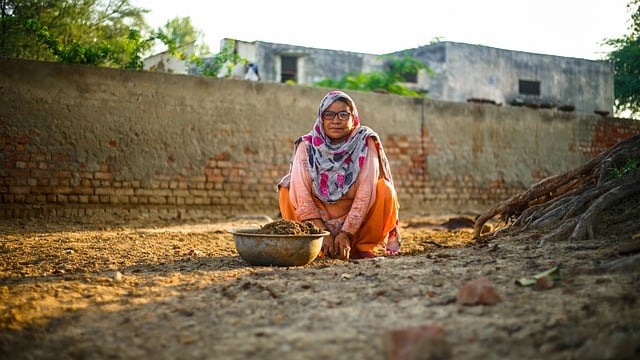 苞舌兰怎么浇水 , 苞舌兰怎么浇水插图 苞舌兰怎么浇水 , 苞舌兰怎么浇水插图