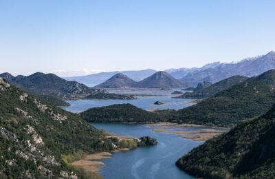 黄蝉怎么进行扦插 ， 黄蝉怎么进行扦插缩略图