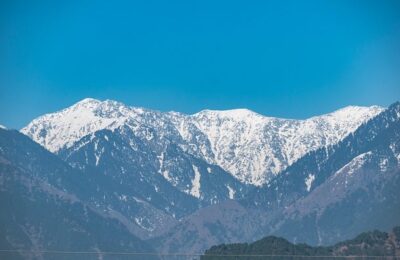 榕树繁殖方法大全 ， 榕树的栽培与养护缩略图