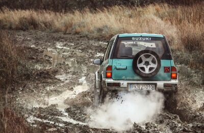 小冠花的种植方法 ， 小冠花的种植方法缩略图