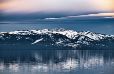 天狗之舞的养殖方法及注意事项 ， 天狗之舞的品种与辨识缩略图