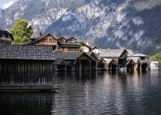 洋桔梗的繁殖方法 , 洋桔梗的栽培与养护插图 洋桔梗的繁殖方法 , 洋桔梗的栽培与养护插图