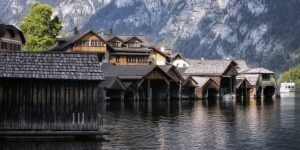 洋桔梗的繁殖方法 ， 洋桔梗的栽培与养护缩略图