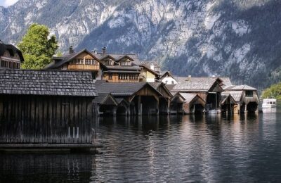 洋桔梗的繁殖方法 ， 洋桔梗的栽培与养护缩略图