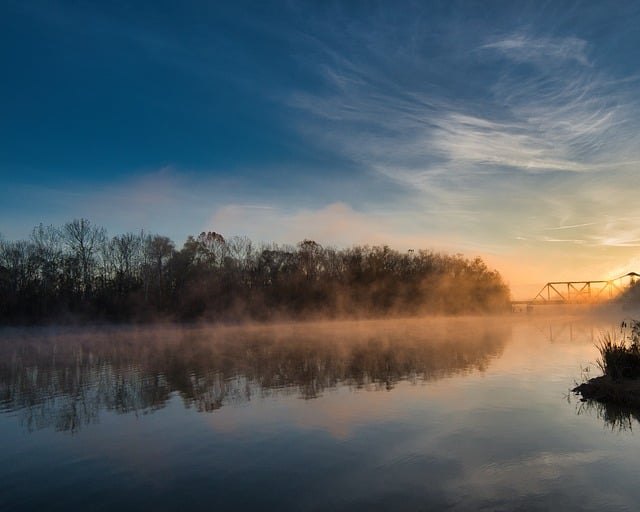 金手指怎么繁殖 ， 金手指的养殖技巧与注意事项插图