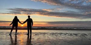 茑萝的四季养护要点 ， 茑萝的春季养护要点缩略图