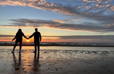 茑萝的四季养护要点 ， 茑萝的春季养护要点缩略图