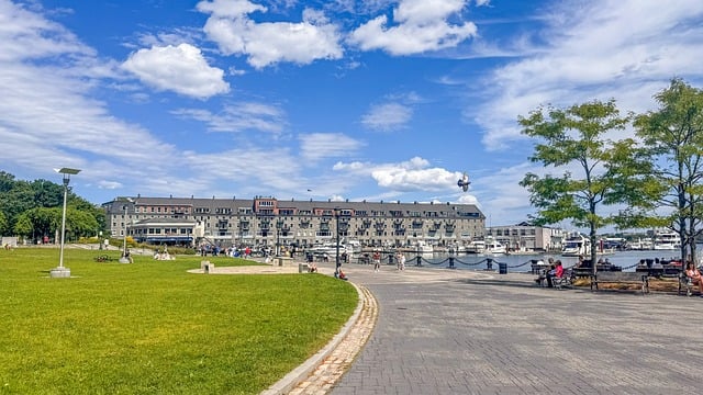 连翘怎么播种 , 连翘的种植与应用插图 连翘怎么播种 , 连翘的种植与应用插图