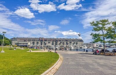 连翘怎么播种 ， 连翘的种植与应用缩略图