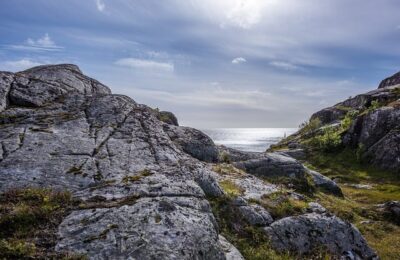 五星花的繁殖方法 ， 五星花：星光闪耀的庭院之美缩略图