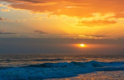 各种花卉在六月份如何管理 ， 六月花卉管理的进阶技巧缩略图