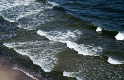 玉簪花的功效与作用 ， 玉簪花的药用价值缩略图