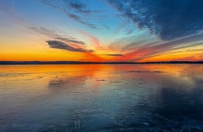 旱金莲怎么修剪 ， 旱金莲的种植与养护缩略图