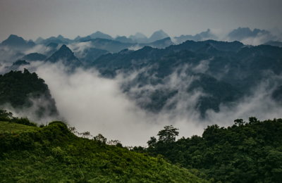 白檀夏天怎么养 ， 白檀夏天怎么养缩略图