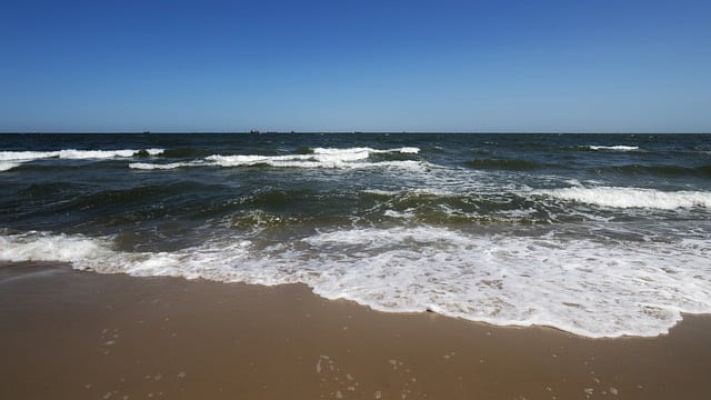 风信子塑料瓶怎么做 , 风信子的世界:从水培到绽放插图 风信子塑料瓶怎么做 , 风信子的世界:从水培到绽放插图