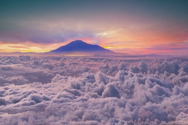 滴水观音怎么样长得粗壮 , 滴水观音的种植技巧与注意事项插图 滴水观音怎么样长得粗壮 , 滴水观音的种植技巧与注意事项插图