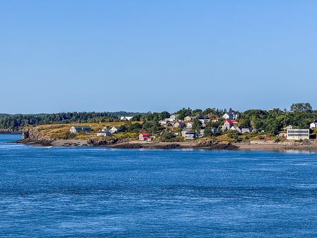 米兰花花期怎么延长 , 探秘米兰花:从花期延长到日常养护插图 米兰花花期怎么延长 , 探秘米兰花:从花期延长到日常养护插图