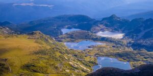 沤肥加点它，不臭不招虫，让花猛长撑爆盆！ ， 家庭自制花肥宝典：让你的花儿茁壮成长缩略图