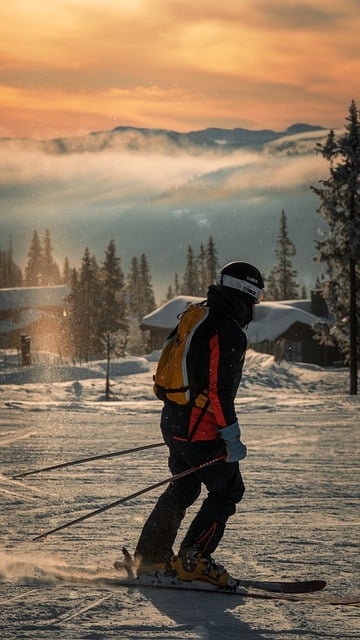 如何让茶花尽快开花 , 茶花的品种与养护技巧插图 如何让茶花尽快开花 , 茶花的品种与养护技巧插图